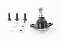 CONTINENTAL CTAM SUG1025 - Rótula de suspensión/carga