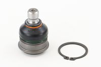 CONTINENTAL CTAM SUG1073 - Rótula de suspensión/carga