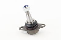 CONTINENTAL CTAM SUG1154 - Rótula de suspensión/carga