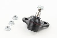 CONTINENTAL CTAM SUG1166 - Rótula de suspensión/carga