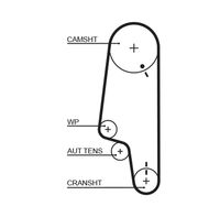 GATES 5428XS - Correa dentada - PowerGrip™