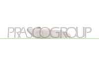 PRASCO AA0804142 - Piloto intermitente - TYC