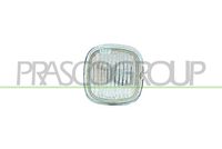 PRASCO AD0174141 - Piloto intermitente - TYC
