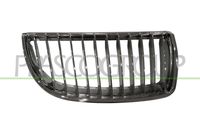 PRASCO BM0242003 - Panal de radiador - PremiumCertified