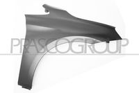 PRASCO BM2003003 - Guardabarros