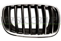 PRASCO BM8222003 - Panal de radiador