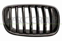 PRASCO BM8232003 - Panal de radiador