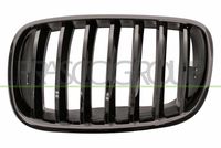 PRASCO BM8232004 - Panal de radiador