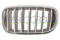 PRASCO BM8262024 - Panal de radiador