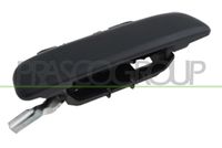 PRASCO CI0228102 - Manecilla exterior de la puerta