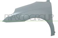 PRASCO CI4243004 - Guardabarros - PremiumCertified