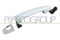 PRASCO CI5238004 - Manecilla exterior de la puerta