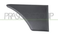 PRASCO CI9151455 - Listón embellecedor/protector, guardabarros