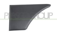 PRASCO CI9151456 - Listón embellecedor/protector, guardabarros