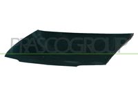 PRASCO CI9153100 - Capó del motor