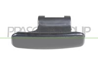 PRASCO CI9158324 - Manecilla exterior de la puerta