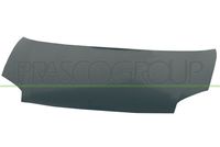 PRASCO CI9173100 - Capó del motor