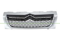 PRASCO CI9542001 - Panal de radiador