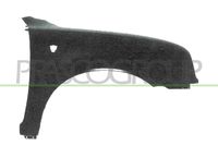 PRASCO DS0053003 - Guardabarros