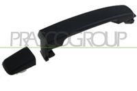 PRASCO DS8148017 - Manecilla exterior de la puerta