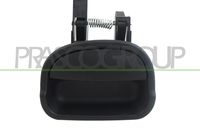 PRASCO DS9178501 - Manecilla de puerta, equipamiento habitáculo