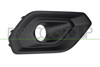 PRASCO FD6422133 - Rejilla de ventilación, parachoques