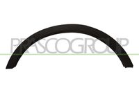 PRASCO FD8041583 - Ensanchamiento, guardabarros