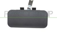 PRASCO FD9108001 - Manecilla exterior de la puerta