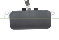 PRASCO FD9108002 - Manecilla exterior de la puerta