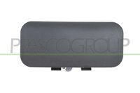 PRASCO FD9108301 - Manecilla exterior de la puerta