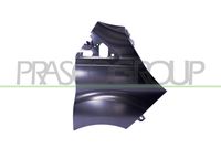 PRASCO FD9163003 - Guardabarros