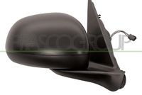 PRASCO FT0407313P - Retrovisor exterior