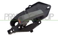 PRASCO FT1228608 - Manecilla de puerta, equipamiento habitáculo