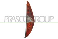 PRASCO FT3404053 - Piloto posterior - TYC