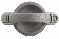 PRASCO FT9088101 - Manecilla exterior de la puerta