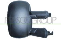 PRASCO FT9087013 - Retrovisor exterior