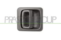 PRASCO FT9208101 - Manecilla exterior de la puerta