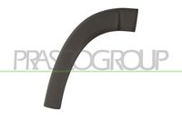 PRASCO FT9301583 - Listón embellecedor/protector, guardabarros