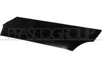 PRASCO FT9273100 - Capó del motor