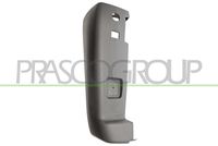 PRASCO FT9301164 - Parachoques - PremiumCertified