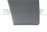 PRASCO FT9301405 - Listón embellecedor/protector, puerta
