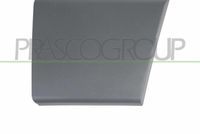 PRASCO FT9301406 - Listón embellecedor/protector, puerta