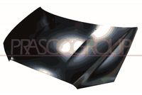 PRASCO MB7163110 - Capó del motor