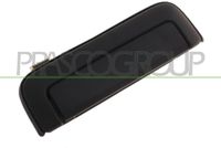 PRASCO MB8158001 - Manecilla exterior de la puerta