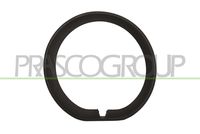 PRASCO MN7041239 - Listón embellecedor/protector, parachoques