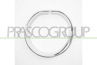 PRASCO MN7041242 - Carcasa, faro antiniebla