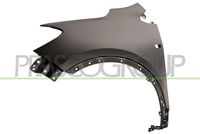 PRASCO OP7003014 - Guardabarros