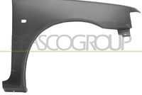 PRASCO PG0073013 - Guardabarros - Premium