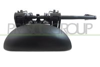 PRASCO PG0098008 - Manecilla exterior de la puerta