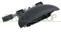 PRASCO PG0098101 - Manecilla exterior de la puerta